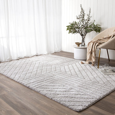 Tender Modern Silver Shag Rug