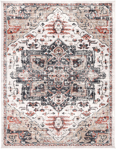 Elaheh Oriental Light Grey Rug Brand Ventures