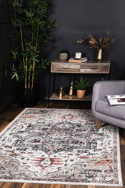 Elaheh Oriental Light Grey Rug Brand Ventures